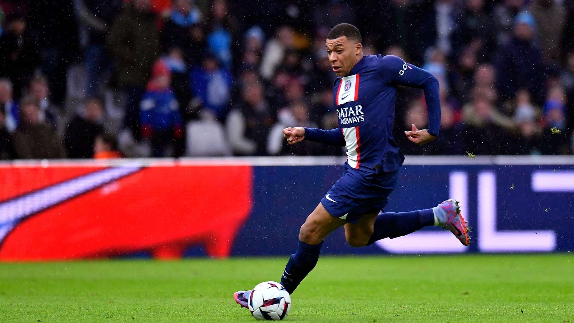 望能在未来 望能在未来