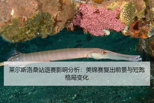 lai-er-si-luo-sang-zhan-tui-sai-ying-xiang-fen-xi-mei-jin-sai-fu-chu-qian-jing-yu-duan-pao-ge-ju-bian-hua-2-424.jpg